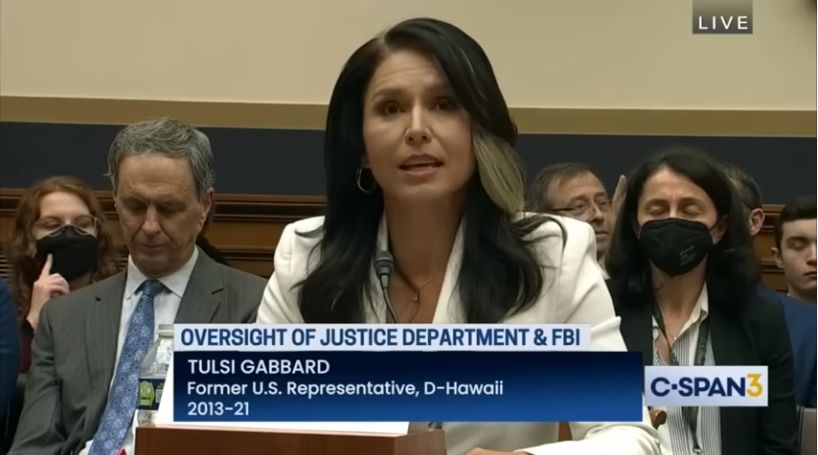 Tulsi Gabbard Testifies on the Weaponization of Federal Government
